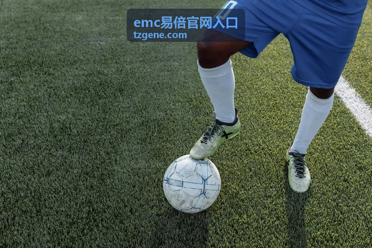 emc易倍官网入口账户与记录管理场景示意