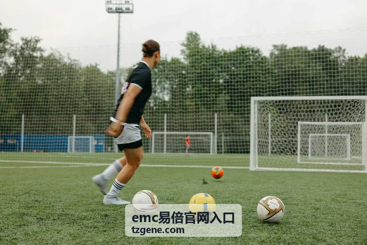 emc易倍官网入口 异常状态排查顺序示意
